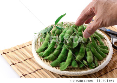 毛豆,樹枝排列在籃子裡(白色背景) 毛豆,樹枝排列在籃子裡(白色背景) 119791365