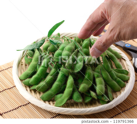 Edamame beans on a basket (white background) Edamame beans on a basket (white background) 119791366