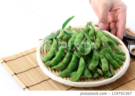 Edamame beans on a basket (white background) 119791367