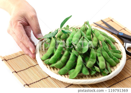 Edamame beans on a basket (white background) 119791369