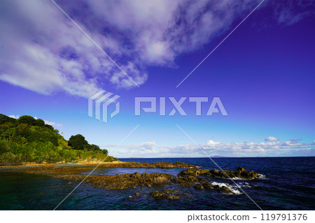 Bay Colours New Zealander coasts 119791376