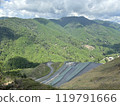 A view 119791666