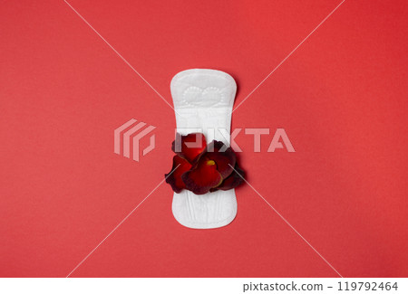 woman hygiene protection menstruation period health care 119792464