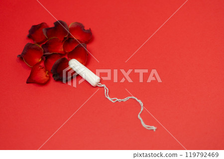 woman hygiene protection menstruation period health care 119792469