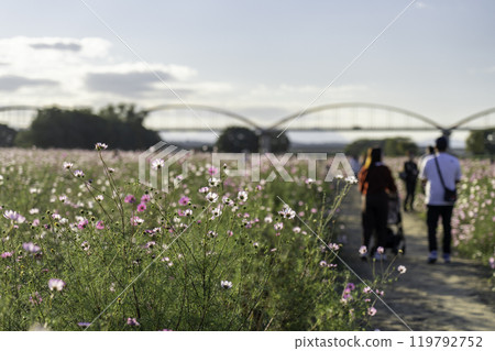 情侶在宇宙田野中漫步 情侶在宇宙田野中漫步 119792752