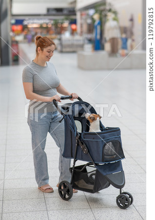 A Caucasian woman walks along the mall with her Jack Russell Terrier dog in a stroller. Vertical photo.  119792815