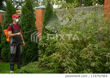 Gardener wearing protective mask spraying insecticide on garden plants 119792968