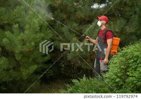 Gardener spraying plants with pesticide in a lush garden during summer 119792974