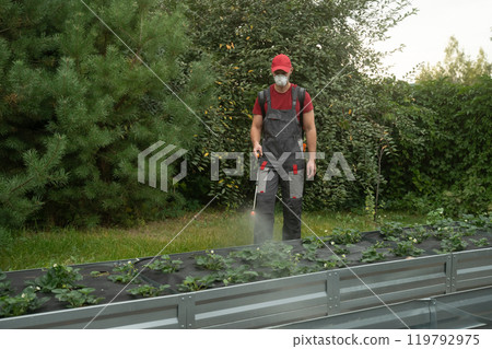 Gardener spraying insecticide protecting plants Gardener spraying insecticide protecting plants 119792975