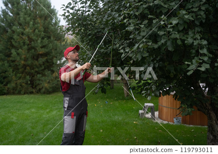 Gardener pruning tree branches using telescopic lopper Gardener pruning tree branches using telescopic lopper 119793011