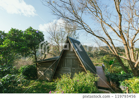 Doi Pang Khon in Chiang Rai, Thailand 119793456