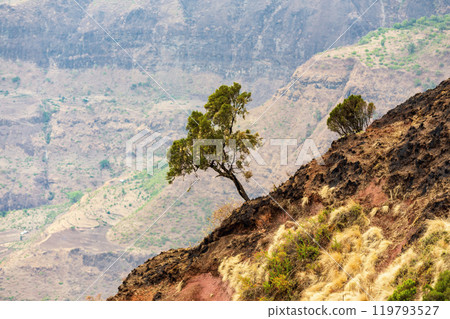 Semien or Simien Mountains National Park, Ethiopia wilderness landscape Semien or Simien Mountains National Park, Ethiopia wilderness landscape 119793527