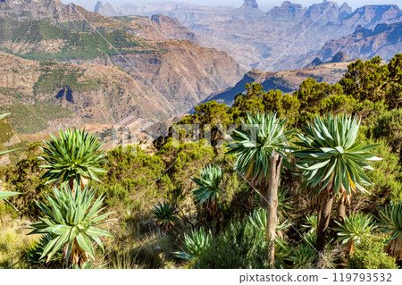 Semien or Simien Mountains, Ethiopia Semien or Simien Mountains, Ethiopia 119793532