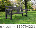 Bench 119794221
