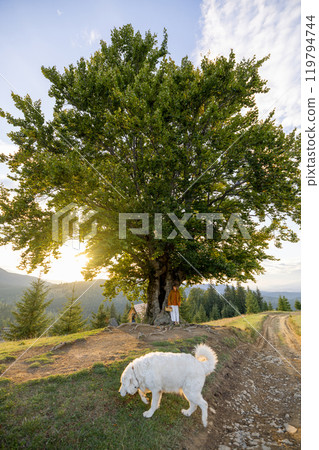 A Joyful Stroll in Nature A Joyful Stroll in Nature 119794744