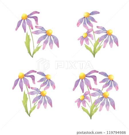 Four coneflowers bouquets with purple petals and green stems. Echinacea watercolor clipart. Ideal for creating botanical patterns for fabric, eco-conscious packaging, or wellness-themed merchandise 119794986