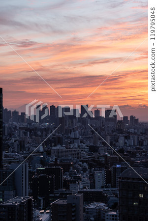 東京文京區役所展望台的夜景 119795048