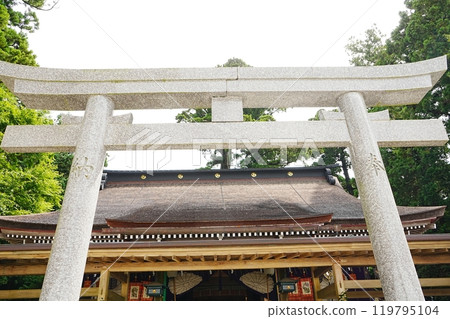 日本 茨城郡 鹿島神社 鳥居 日本 茨城郡 鹿島神社 鳥居 119795104