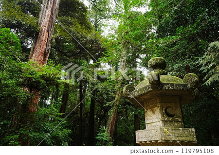 日本 茨城郡 鹿島神社 奧參道 119795108