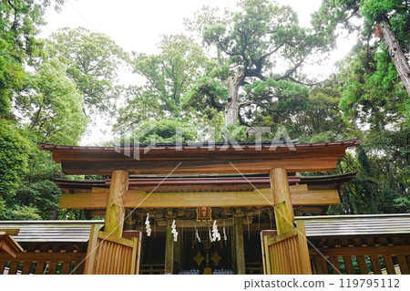 日本 茨城縣 鹿島神社 節社奧宮 日本 茨城縣 鹿島神社 節社奧宮 119795112