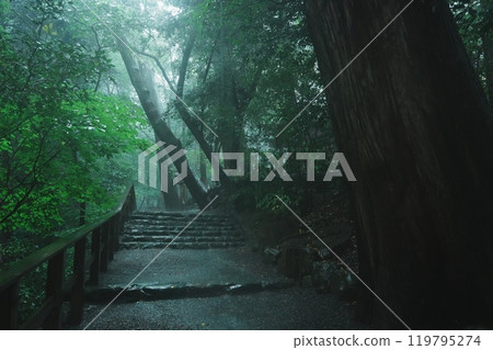 伊勢神宮外宮多賀神宮雨中參拜 119795274