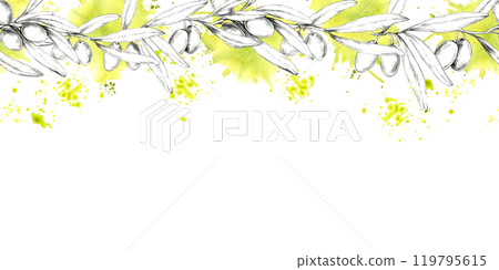 A horizontally oriented pencil drawing clipart of an olive branch with soft touches of yellow watercolor. Seamless border Ideal for adding a natural element to product packaging, website headers A horizontally oriented pencil drawing clipart of an olive branch with soft touches of yellow watercolor. Seamless border Ideal for adding a natural element to product packaging, website headers 119795615