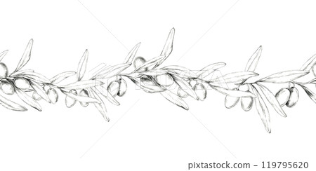 Olive branch with multiple olives and leaves. Horizontally oriented seamless border. Pencil drawing clipart. Ideal for use in website banners, product packaging, or as a repeatable pattern in textile Olive branch with multiple olives and leaves. Horizontally oriented seamless border. Pencil drawing clipart. Ideal for use in website banners, product packaging, or as a repeatable pattern in textile 119795620