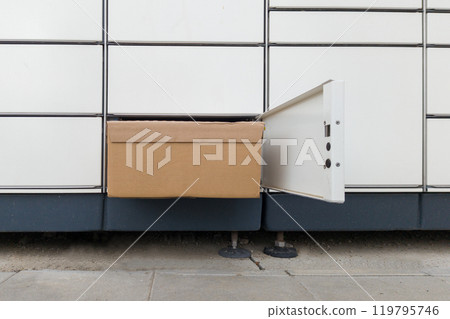 Cardboard Package in Open Parcel Locker Compartment 119795746