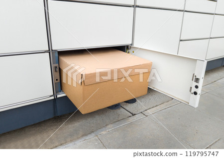 Cardboard Parcel in Open Locker for Pickup 119795747