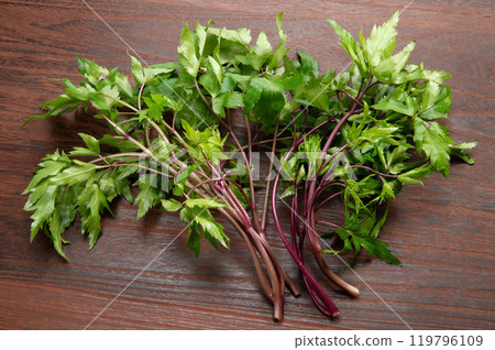 大和朱葉 119796109