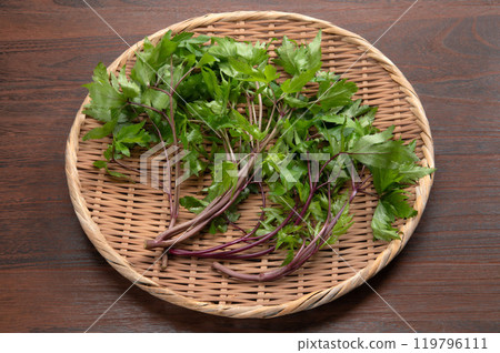 Yamato Angelica Leaf 119796111