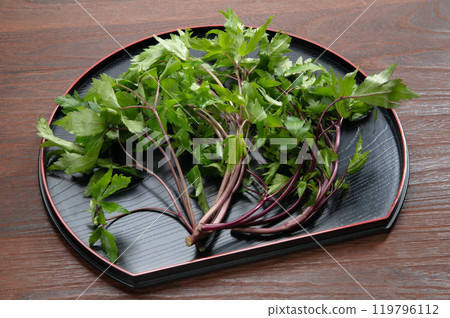 大和朱葉 119796112