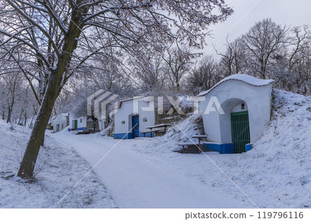 Group of typical outdoor wine cellars in Plze near Petrov, Southern Moravia, Czech Republic 119796116