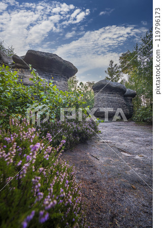Landscape in a nature reserve Broumovske steny, eastern Bohemia, Czech Republic 119796173