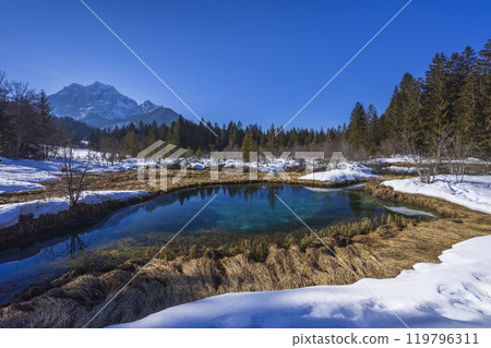 winter landscape in Zelenci, Slovenia 119796311