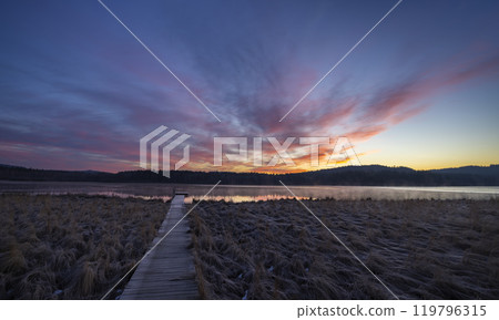 nature reserve Olsina, Sumava National Park, Czech Republic 119796315