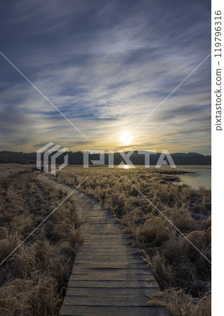 nature reserve Olsina, Sumava National Park, Czech Republic 119796316