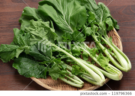 大和真菜,一種原產於奈良縣的葉菜類 大和真菜,一種原產於奈良縣的葉菜類 119796366