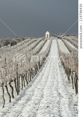 Calvary near Hnanice, Znojmo region, Southern Moravia, Czech Republic Calvary near Hnanice, Znojmo region, Southern Moravia, Czech Republic 119796430