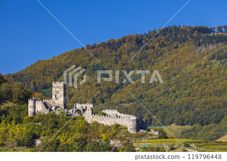 Hinterhaus castle ruins (Ruine Hinterhaus), Spitz, Wachau, UNESCO site, Lower Austria, Austria 119796448