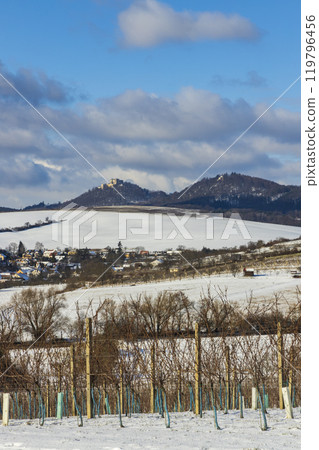 Landscape with vineyards, Slovacko, Southern Moravia, Czech Republic 119796456
