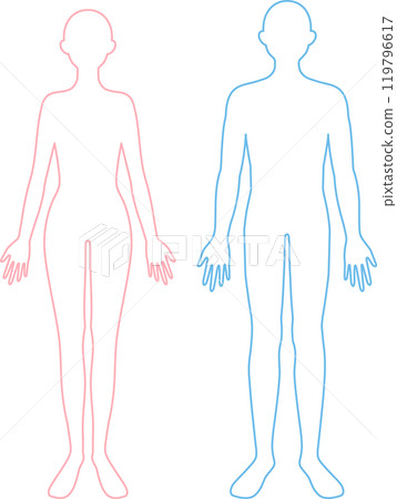 Woman and man line drawing full body 119796617