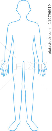 Male line drawing full body 119796619