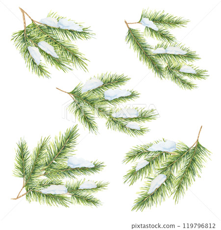 A collection of green spruce twigs with patches of snow. Fir, pine, cedar branches set. Isolated watercolor clipart for creating festive patterns, winter-themed designs, holiday stationery 119796812