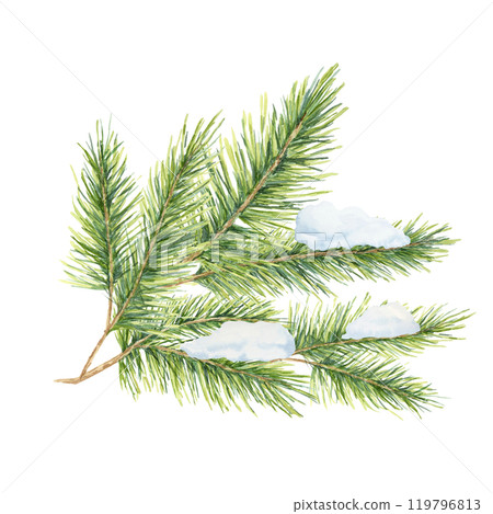A green spruce branch with thick needles, covered with snow. Fir, cedar, pine watercolor twig. Isolated clipart for winter-themed designs, holiday stationery, festive decorations, or seasonal labels A green spruce branch with thick needles, covered with snow. Fir, cedar, pine watercolor twig. Isolated clipart for winter-themed designs, holiday stationery, festive decorations, or seasonal labels 119796813