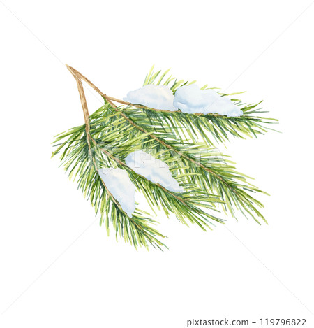 A green spruce branch with fine needles and a touch of snow, Fir, cedar, pine watercolor twig. Isolated clipart for winter event invitations, holiday gift wrap, or festive home decor patterns A green spruce branch with fine needles and a touch of snow, Fir, cedar, pine watercolor twig. Isolated clipart for winter event invitations, holiday gift wrap, or festive home decor patterns 119796822