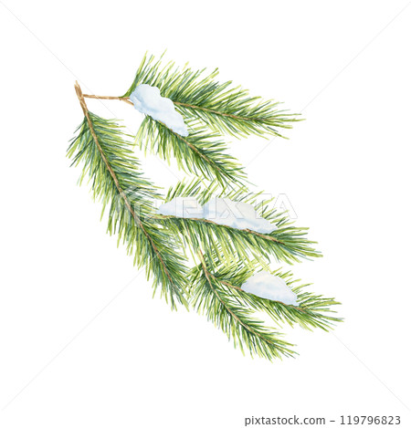 A green spruce branch with thick needles, covered with snow. Fir, cedar, pine watercolor twig. Isolated clipart Perfect for holiday-themed merchandise, Christmas cards, or winter decorations A green spruce branch with thick needles, covered with snow. Fir, cedar, pine watercolor twig. Isolated clipart Perfect for holiday-themed merchandise, Christmas cards, or winter decorations 119796823