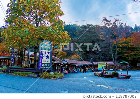 [Gifu] Autumn in Gero Onsen: Early morning market at Gassho Village 119797302