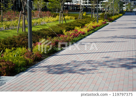 塊人行道和行道樹 119797375