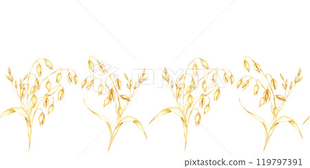 Oat stalk with golden-yellow oat grains and herbs. Avena sativa seamless border. Watercolor clipart for use in natural health product branding, rustic textiles, or artisanal merchandise 119797391